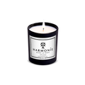 Experience the Elegance of the Wild Ginger Candle | Harmonie